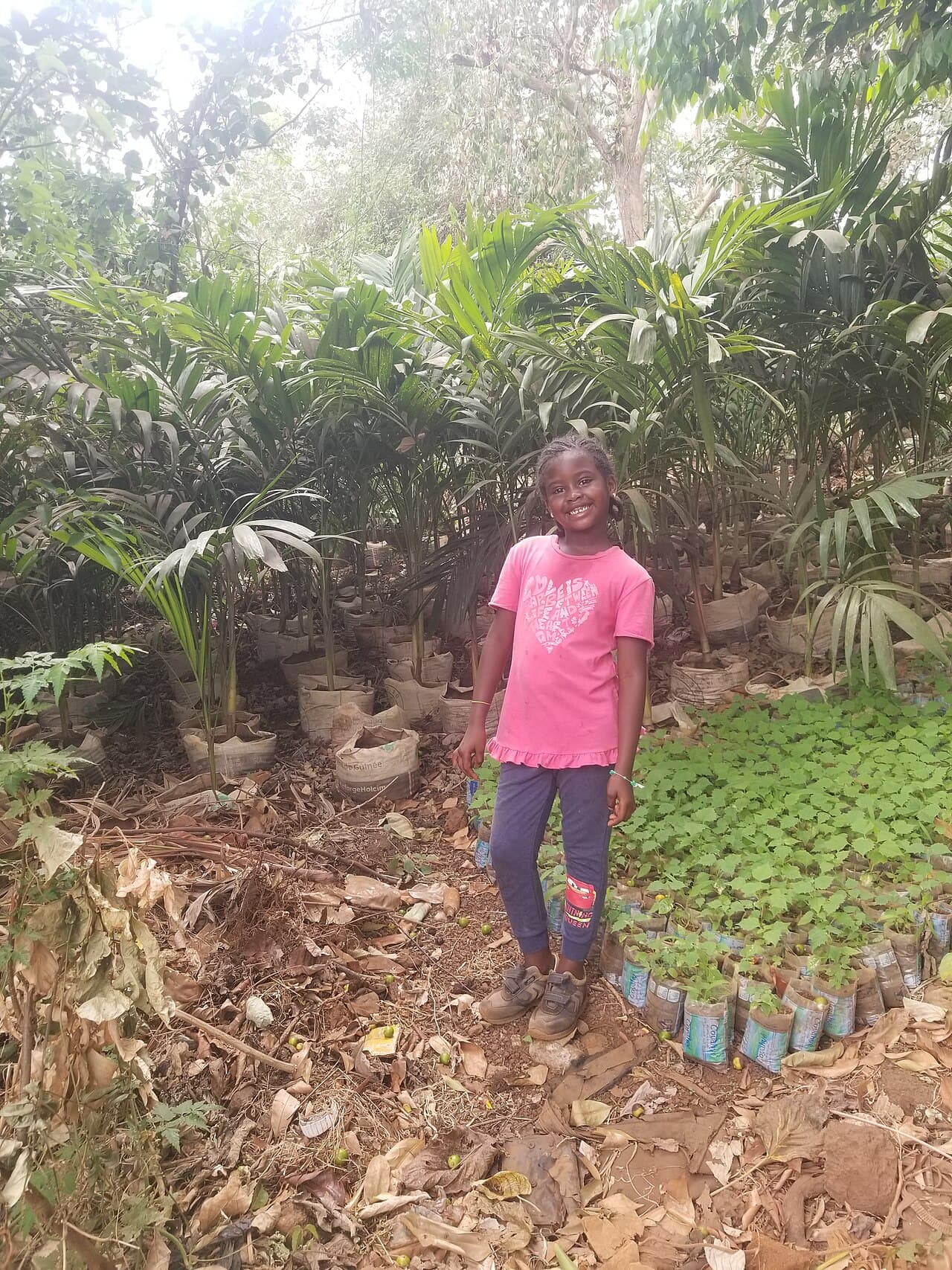 Jeune fille parmi des plants dans une pépinière forestière en Guinée en 2025 (archive, hors site de Simandou)